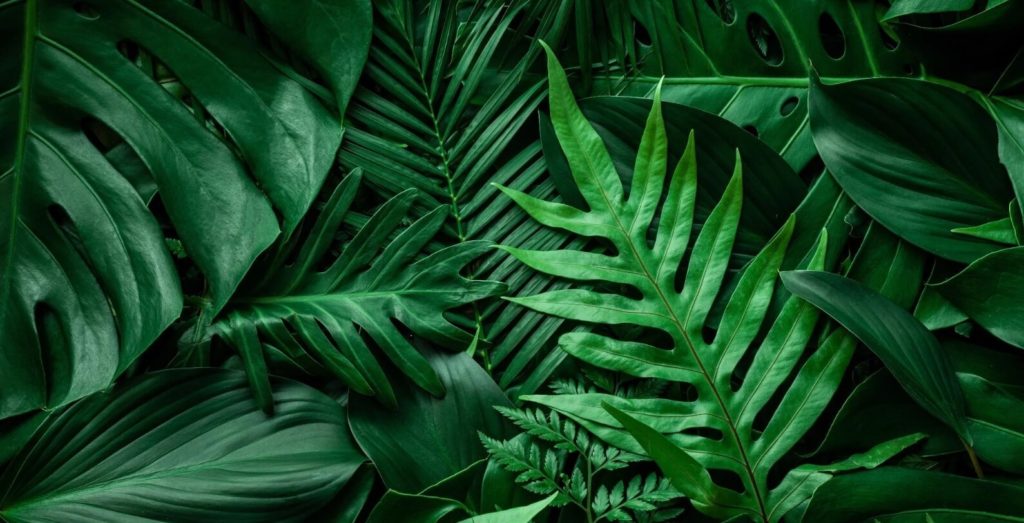 Jardin Paysage De Style Paysagiste Saint Cast Le Guildo Image For Contact Accueil