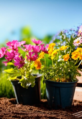 Jardin Paysage De Style Paysagiste Saint Cast Le Guildo JARDIN ET PAYSAGE H1 Img 1