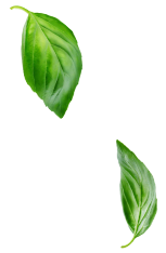 Jardin Paysage De Style Paysagiste Saint Cast Le Guildo Dec 2 1 Jardin Paysage De Style Paysagiste Saint Cast Le Guildo Dec 2 1