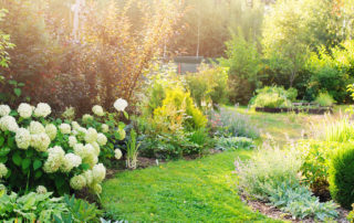 Jardin Paysage De Style Paysagiste Saint Cast Le Guildo 6 Astuces