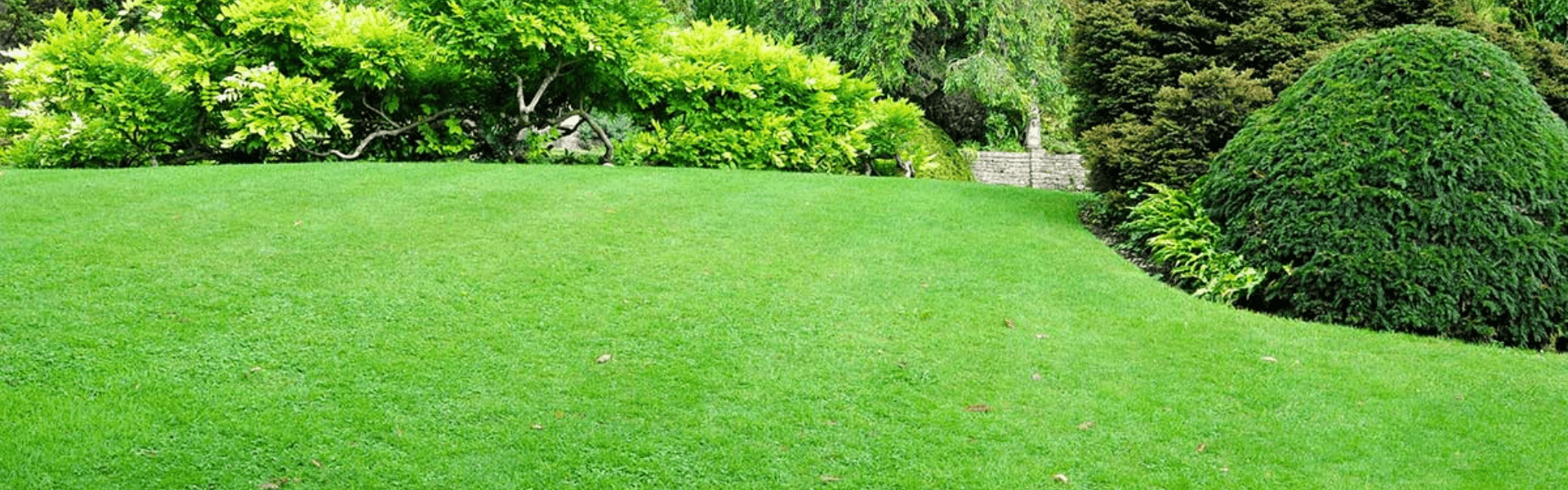 JARDIN Amp PAYSAGE DE STYLE Paysagiste Saint Cast Le Guildo Hortikultura Araucaria Prihranjivanje Travnjaka