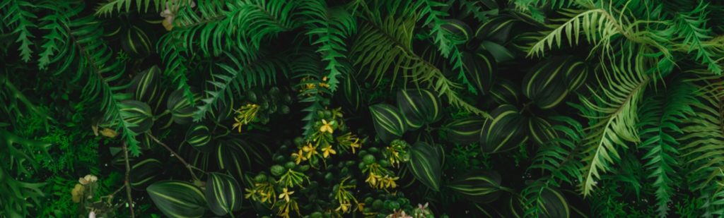 Jardin Paysage De Style Paysagiste Saint Cast Le Guildo Social Media Bg