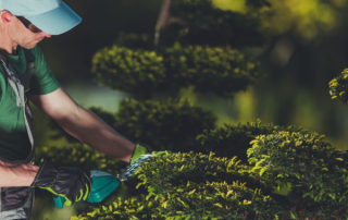 Jardin Paysage De Style Paysagiste Saint Cast Le Guildo Paysagiste 1