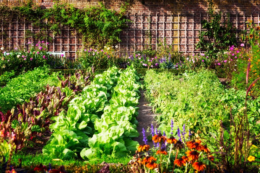 Jardin Paysage De Style Paysagiste Saint Cast Le Guildo 12.Comment Organiser Mon Espace Entre Le Jardin Et Le Potager