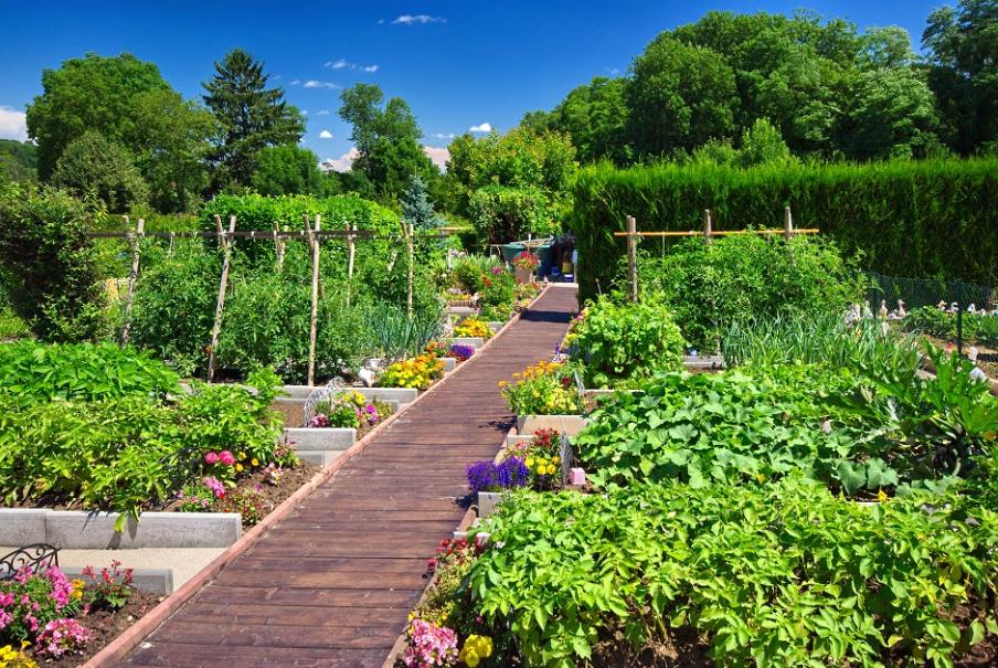 Jardin Paysage De Style Paysagiste Saint Cast Le Guildo AdobeStock 43033164 Potager