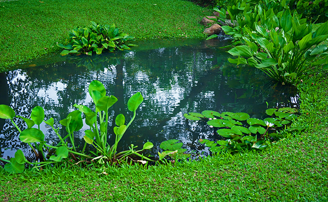Jardin Paysage De Style Paysagiste Saint Cast Le Guildo Mare Jardin 184135