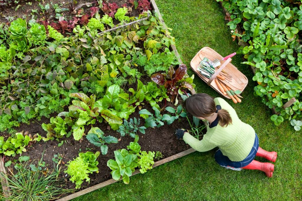 Jardin Paysage De Style Paysagiste Saint Cast Le Guildo Mischkultur.1646607443511