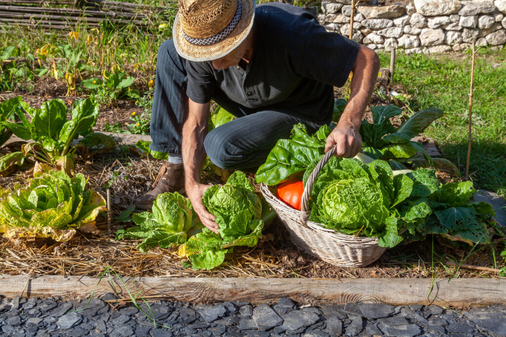 Jardin Paysage De Style Paysagiste Saint Cast Le Guildo Permaculture 004