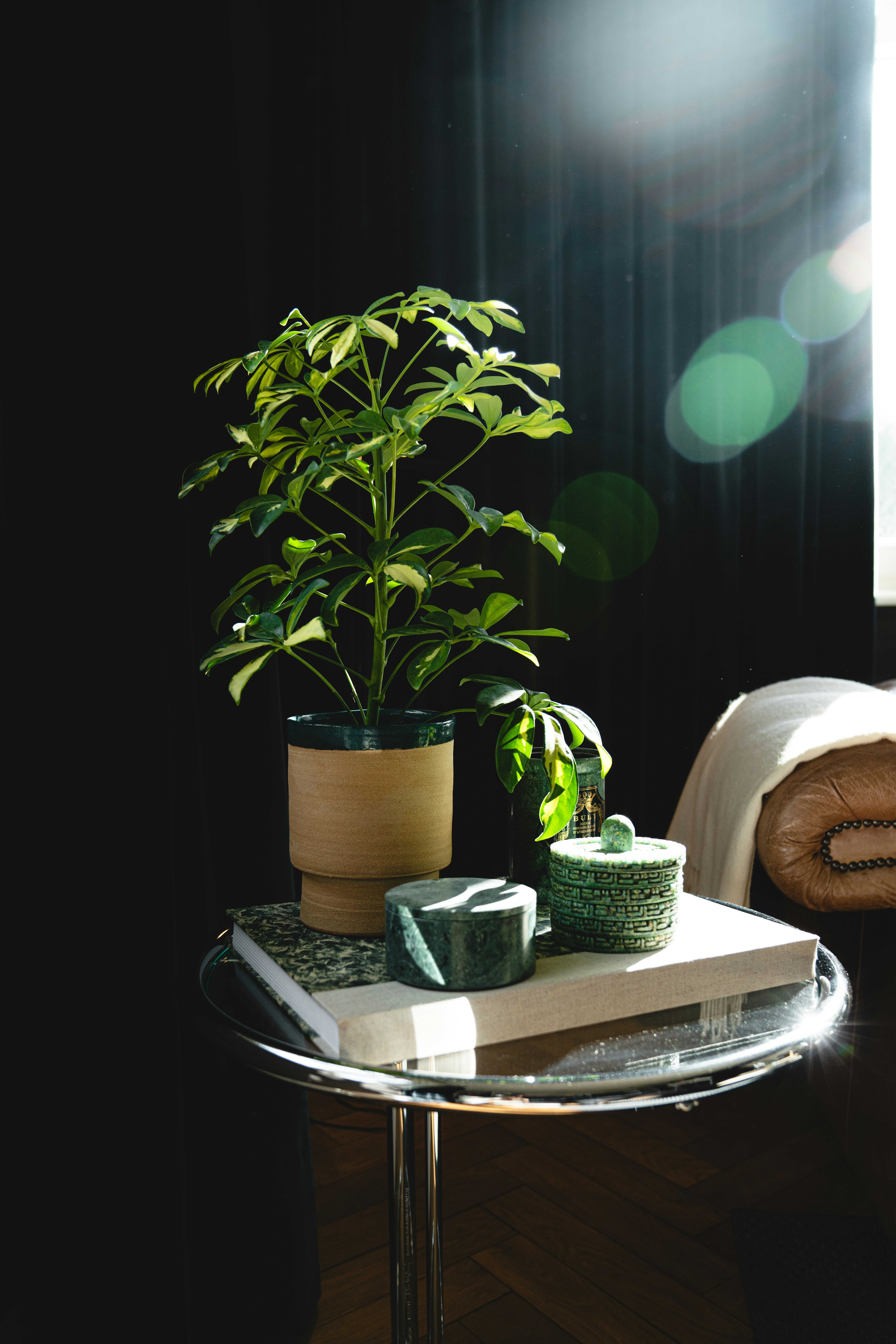 Jardin Paysage De Style Paysagiste Saint Cast Le Guildo Alexis Antoine ZN BeABo3CQ Unsplash